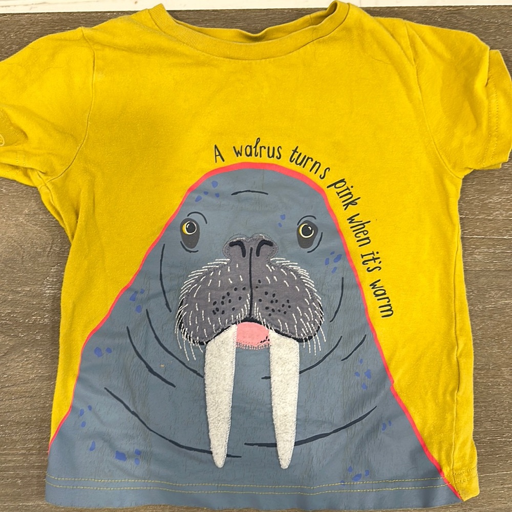 MiniBoden T shirt